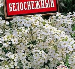 Арабис альпийский Белоснежный