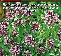 Душица (орегано) обыкновенная Душистый пучок