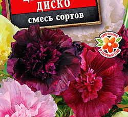 Шток-роза Цветочное диско (смесь сортов)