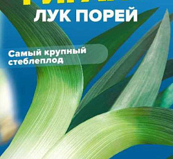 Лук порей Сибирский гигант