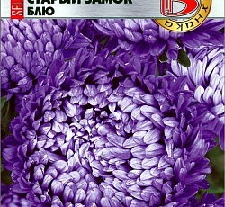 Астра китайская Старый замок селект Блю