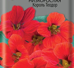 Настурция низкорослая Король Теодор