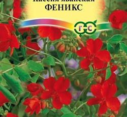 Кассия яванская Феникс