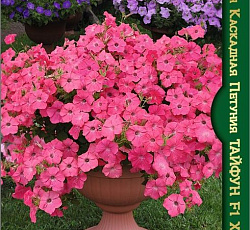 Петуния гигантская каскадная Тайфун F1 Хот Пинк
