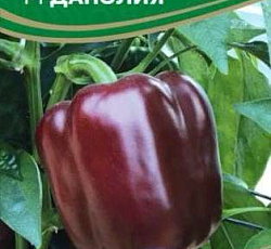 Перец сладкий Данэлия F1