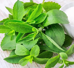 Стевия Сластена