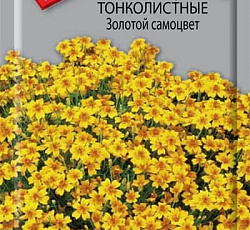 Бархатцы тонколистные Золотой самоцвет