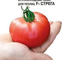 Томат Стрега F1