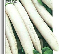 Дайкон Миноваси РС