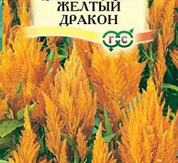 Целозия перистая Желтый дракон
