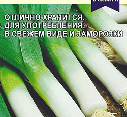 Лук порей Элефант МС