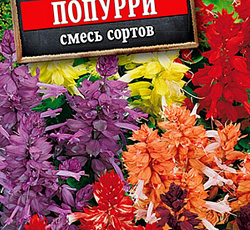 Сальвия Сверкающая Попурри (смесь сортов)
