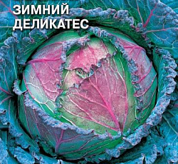 Капуста савойская Зимний деликатес