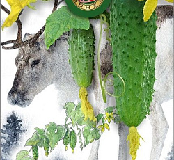 Огурец Лапландия F1