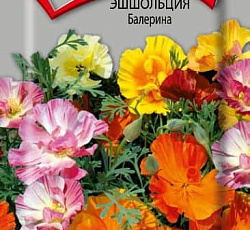 Эшшольция Балерина