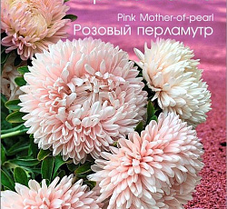 Астра китайская Хризантелла Розовый перламутр