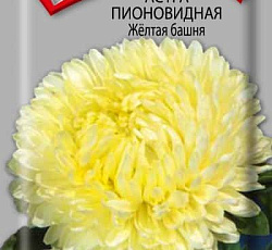 Астра Пионовидная Желтая башня