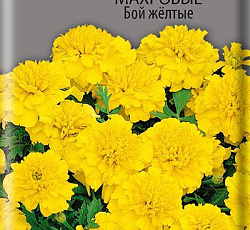 Бархатцы отклоненные махровые Бой желтые
