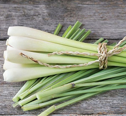 Лемонграсс (лимонная трава) Цитрусовый аромат