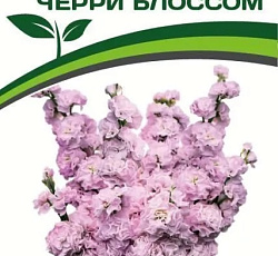 Маттиола срезочная махровая Черри Блоссом