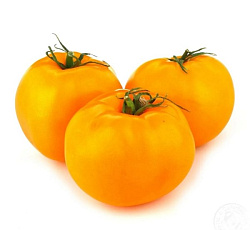 Томат Новогодний