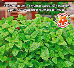 Мелисса лекарственная Пчелка