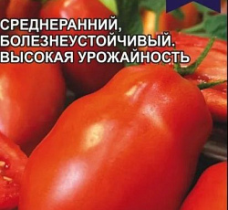 Томат Кебаб F1