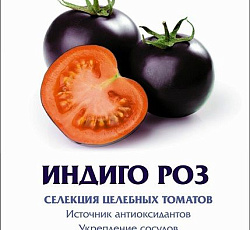 Томат Индиго роз