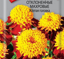 Бархатцы отклоненные махровые Желтая головка