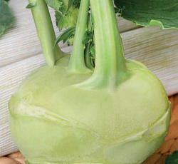 Капуста кольраби Гулливер