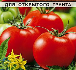 Томат Якут