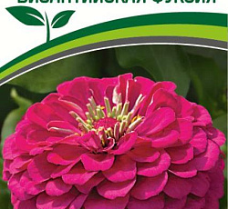 Цинния георгиновидная "Фэнтези" F1 Византийская Фуксия