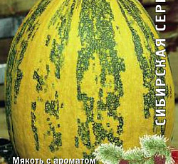 Тыква твердокорая Дачная
