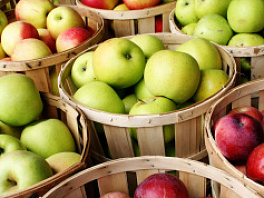 Беспроигрышный способ защиты яблок от гнили: советы опытных садоводов