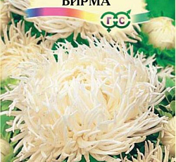 Астра Краллен Бирма