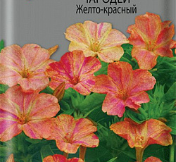 Мирабилис Чародей Желто-красный