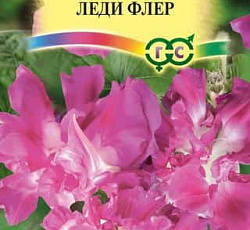 Ипомея Леди Флер (махровая)