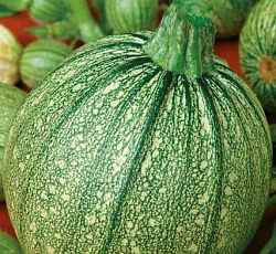 Кабачок Мячик