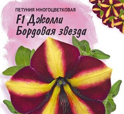 Петуния многоцветковая Джолли бордовая звезда F1