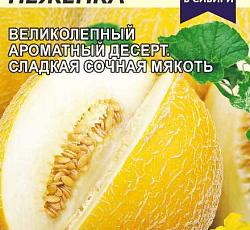 Дыня Сладкая неженка