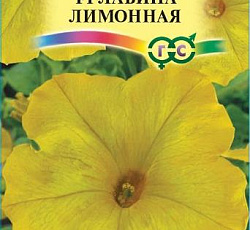 Петуния ампельная Лавина лимонная F1