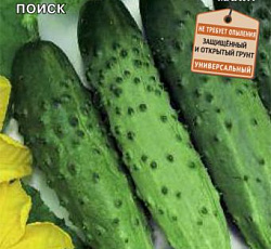 Огурец Подмосковные вечера F1