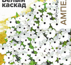 Тунбергия Сюзи Белый каскад