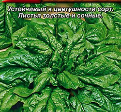 Шпинат Папай