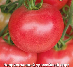 Томат Розалина