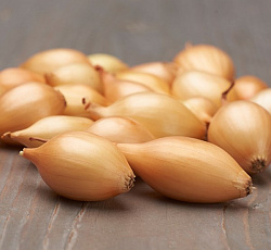 Лук-севок Шекспир