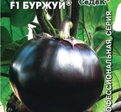 Баклажан Буржуй F1