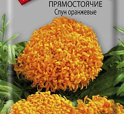 Бархатцы прямостоячие Спун оранжевые