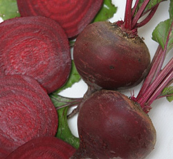 Свекла Бордо 237