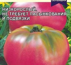 Томат Демидов